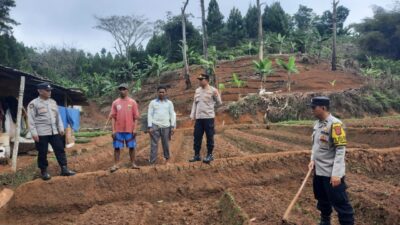 Semangat Menanam, Polisi dan Petani Kompak Tanam Jagung di Cibinong