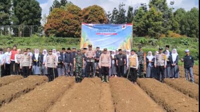 Kapolsek, Danramil, Camat dan Santri Kompak Tanam Jagung Hybrida di Pacet