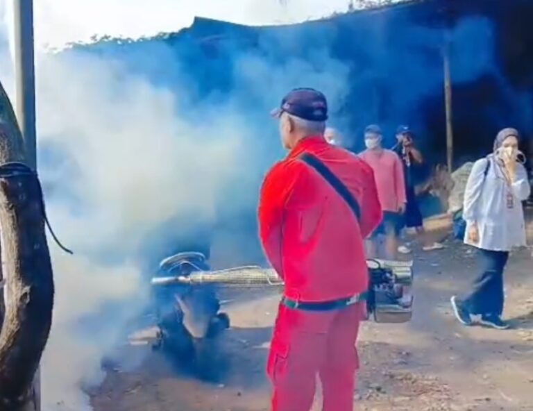 Kampung Pojok Diselimuti Asap, Nyamuk Gelar Acara Cabut Massal