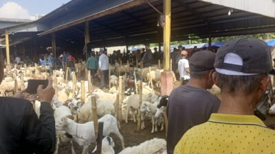 Pasar Hewan Sukanagara Ancam Kelangsungan Perdagangan di Cikaret