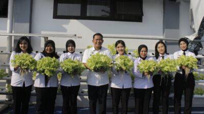 Lapas Cianjur Panen 600 ikat Selada Dilahan Sempit