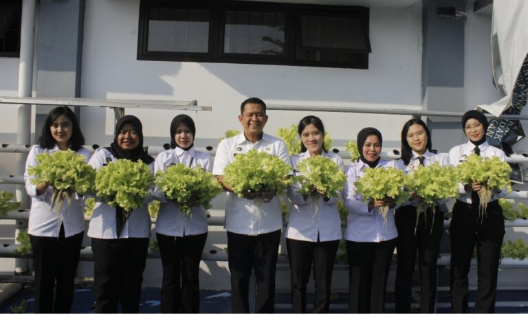 Lapas Cianjur Panen 600 ikat Selada Dilahan Sempit