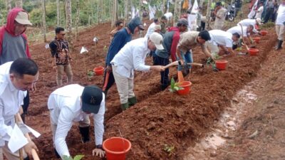 Partai Gerindra Cianjur Ramai-ramai Tanam Pohon, Bukan Janji