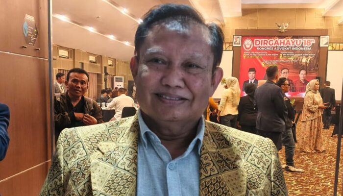 Peradi Minta Pemerintah Perhatikan Pengacara