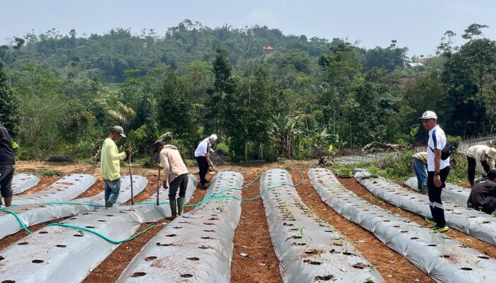 Lapas Cianjur Kembangkan Pembinaan Warga Binaan Lewat Asimilasi Kerja Luar
